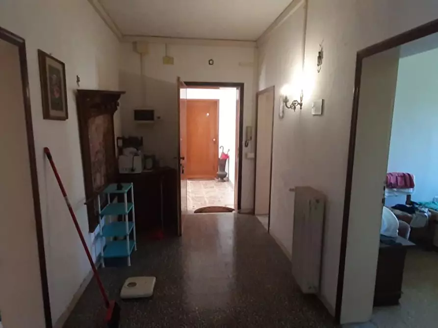 Immagine 11 di Appartamento in vendita  a Castellina Marittima