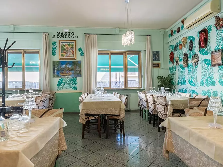 Immagine 13 di Bar / Ristorante in vendita  a Vecchiano