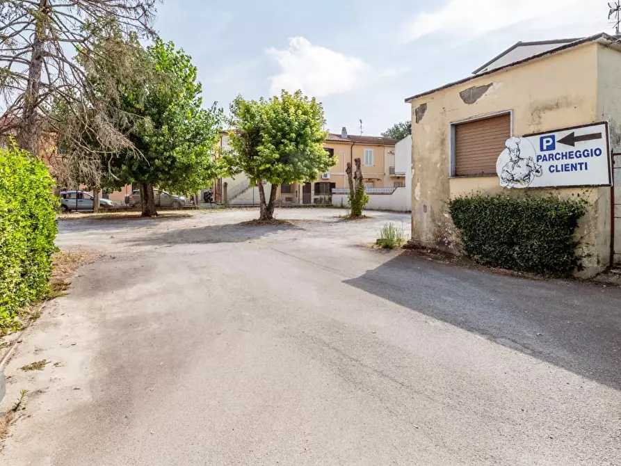 Immagine 21 di Bar / Ristorante in vendita  a Vecchiano