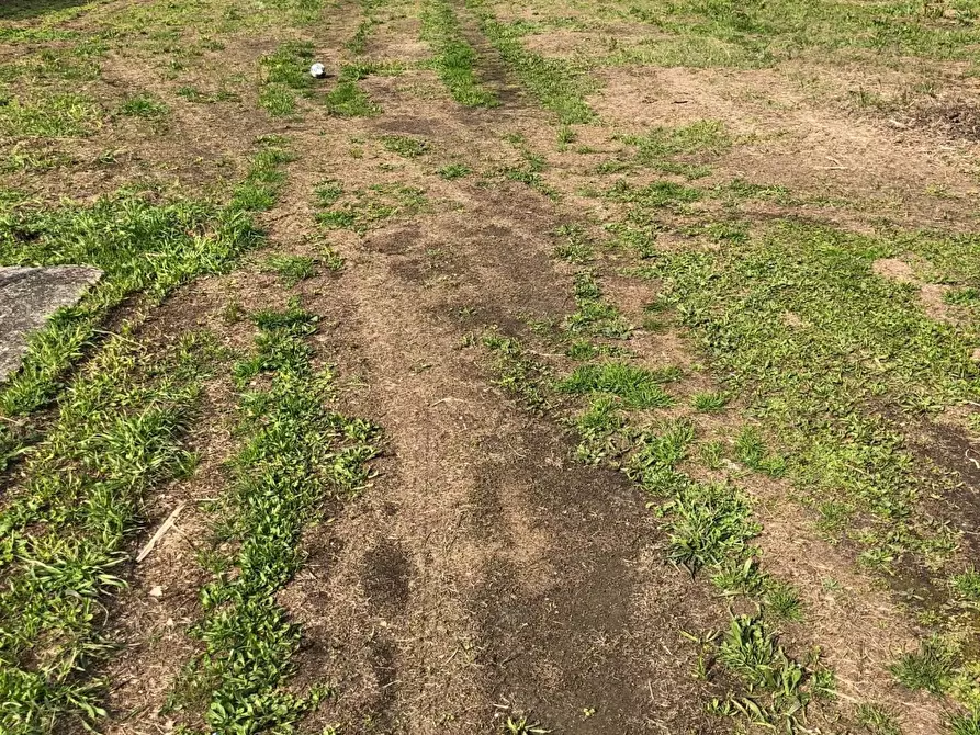 Immagine 14 di Villa in vendita  a Massa