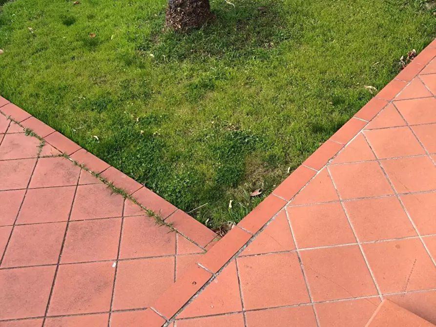 Immagine 15 di Villa in vendita  a Massa