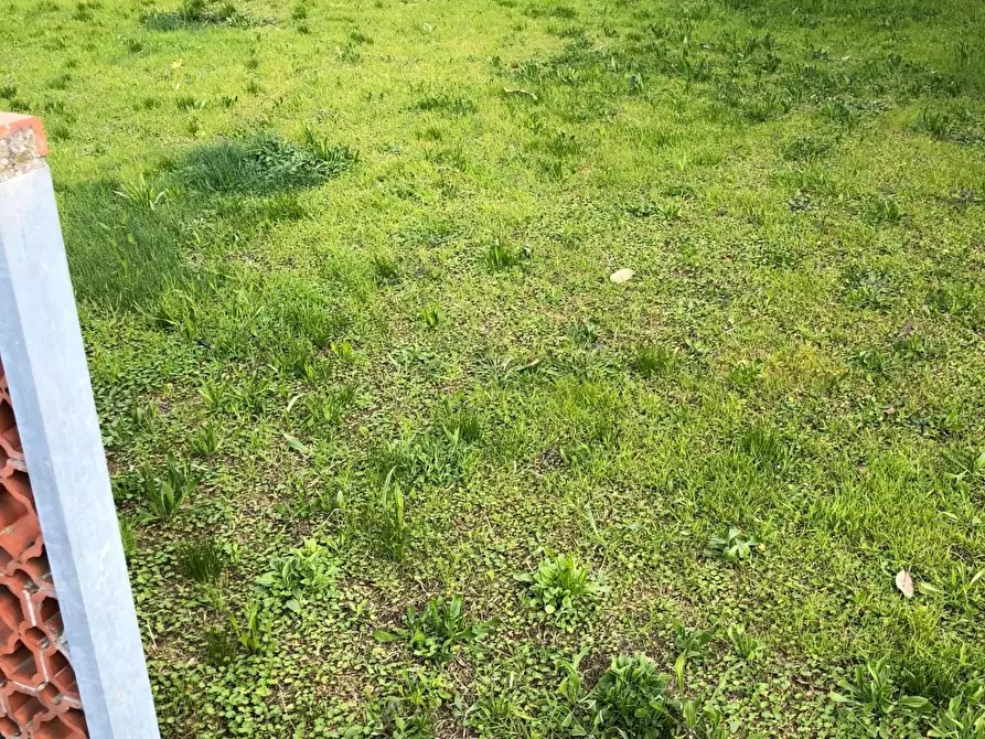 Immagine 13 di Villa in vendita  a Massa