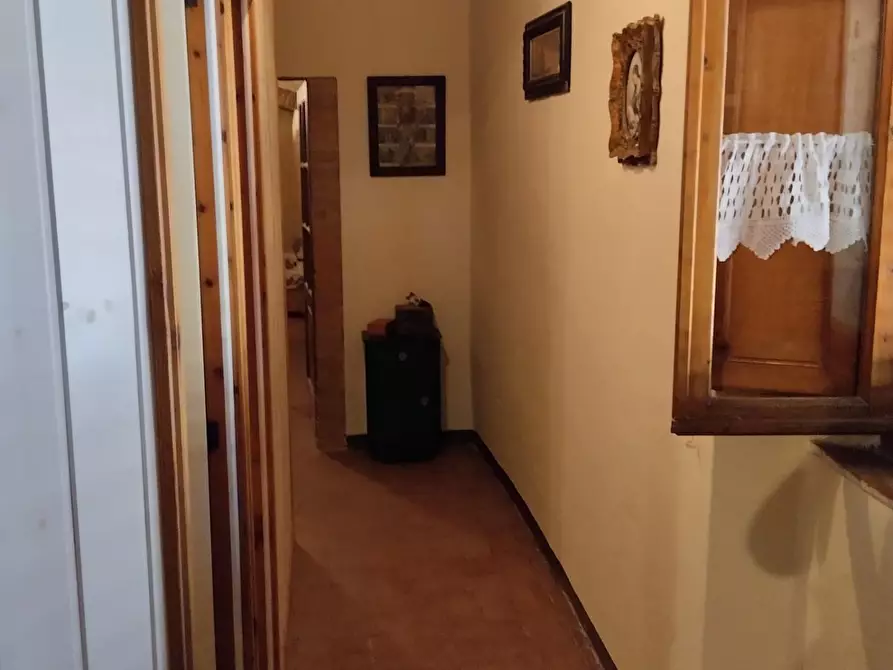 Immagine 10 di Appartamento in vendita  a Bibbona