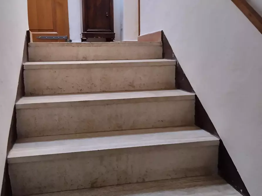 Immagine 4 di Appartamento in vendita  a Bibbona