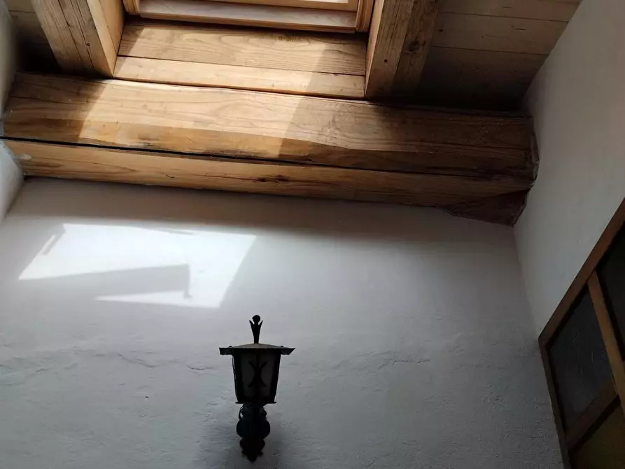 Immagine 5 di Appartamento in vendita  a Bibbona