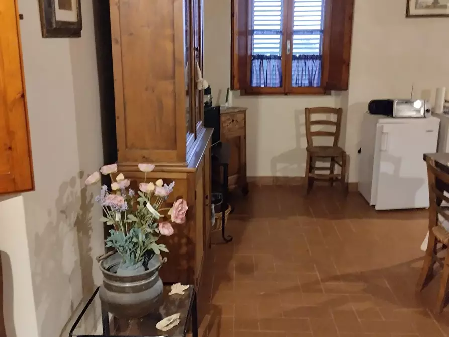 Immagine 8 di Appartamento in vendita  a Bibbona