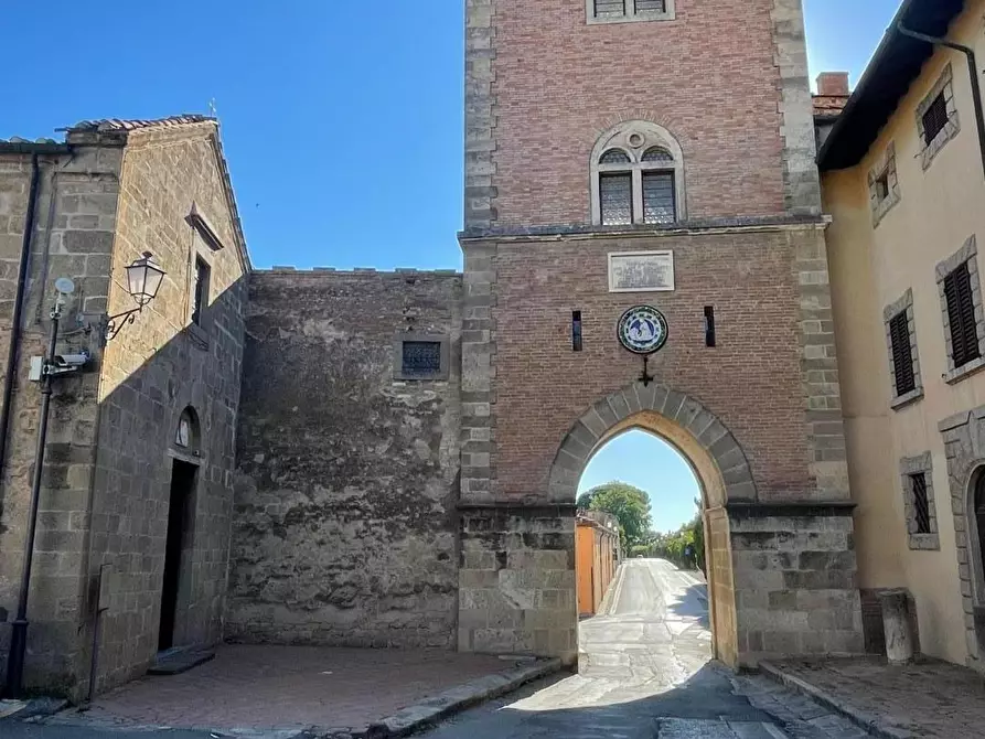 Immagine 2 di Appartamento in vendita  a Bibbona