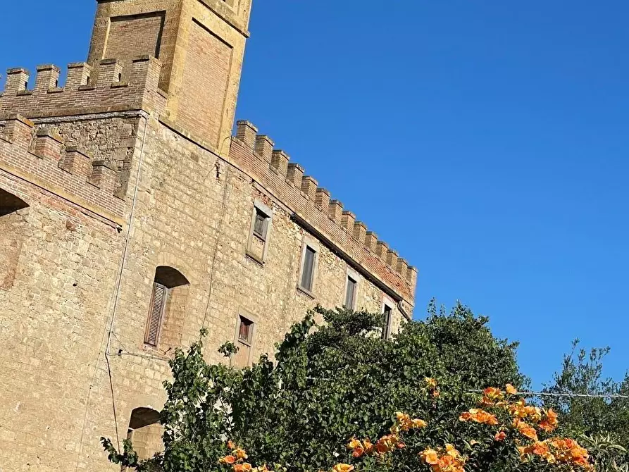 Immagine 3 di Appartamento in vendita  a Bibbona