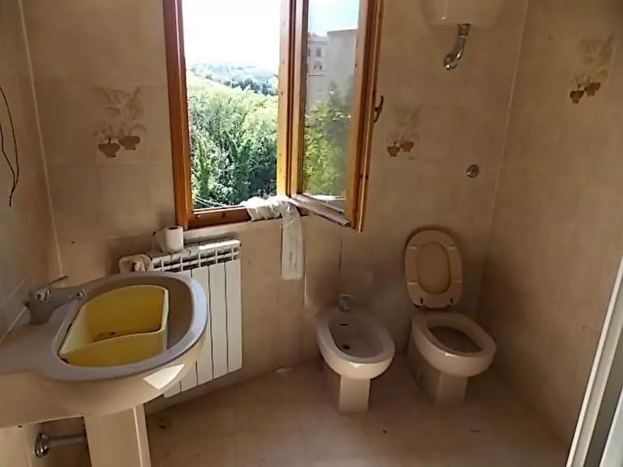 Immagine 15 di Appartamento in vendita  a Rosignano Marittimo