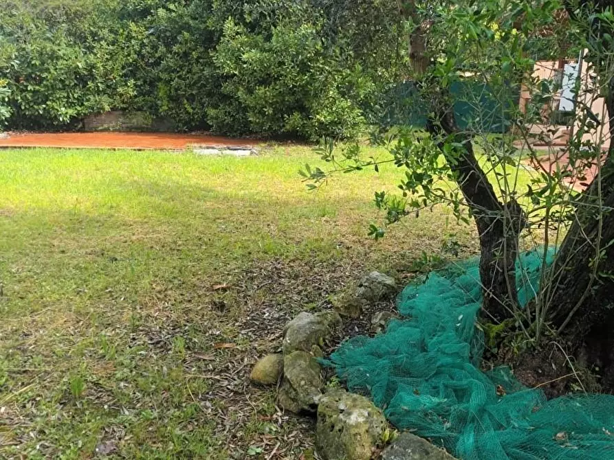 Immagine 3 di Casa trifamiliare in vendita  a Carrara