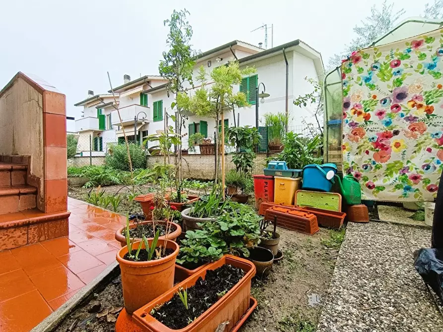 Immagine 31 di Villetta a schiera in vendita  a Vecchiano