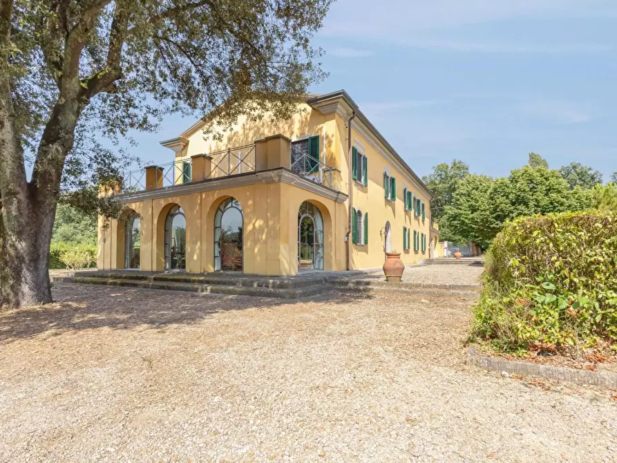 Immagine 4 di Villa in vendita  a Bientina