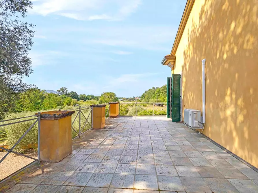 Immagine 27 di Villa in vendita  a Bientina