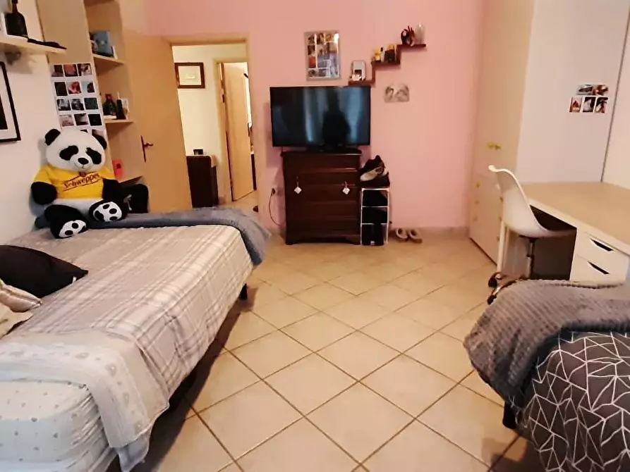 Immagine 11 di Appartamento in vendita  a Cecina