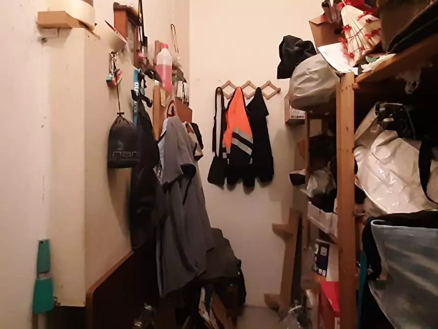 Immagine 12 di Appartamento in vendita  a Cecina