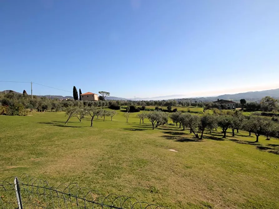 Immagine 8 di Rustico / casale in vendita  a Capannori