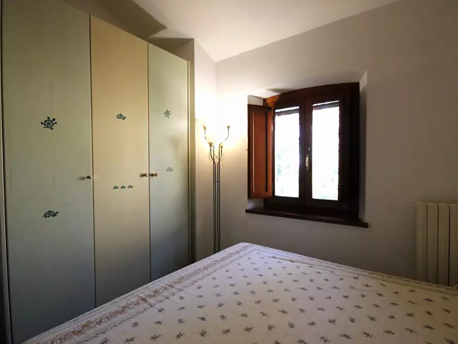 Immagine 29 di Rustico / casale in vendita  a Capannori