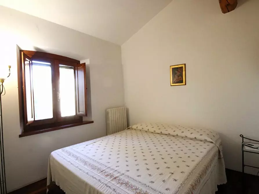 Immagine 28 di Rustico / casale in vendita  a Capannori