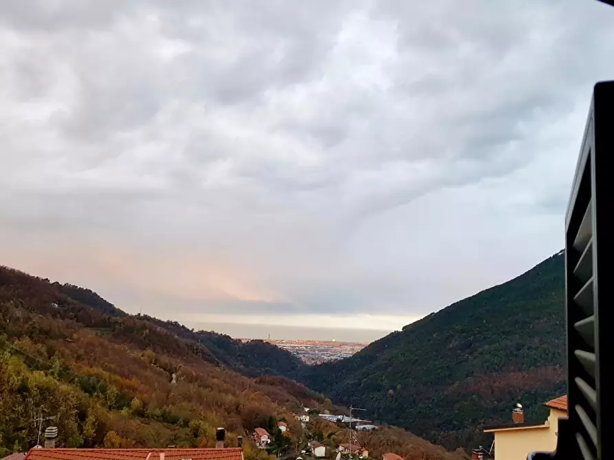 Immagine 8 di Terratetto in vendita  a Massa