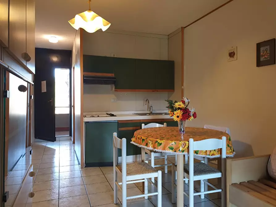 Immagine 3 di Appartamento in vendita  a Bibbona