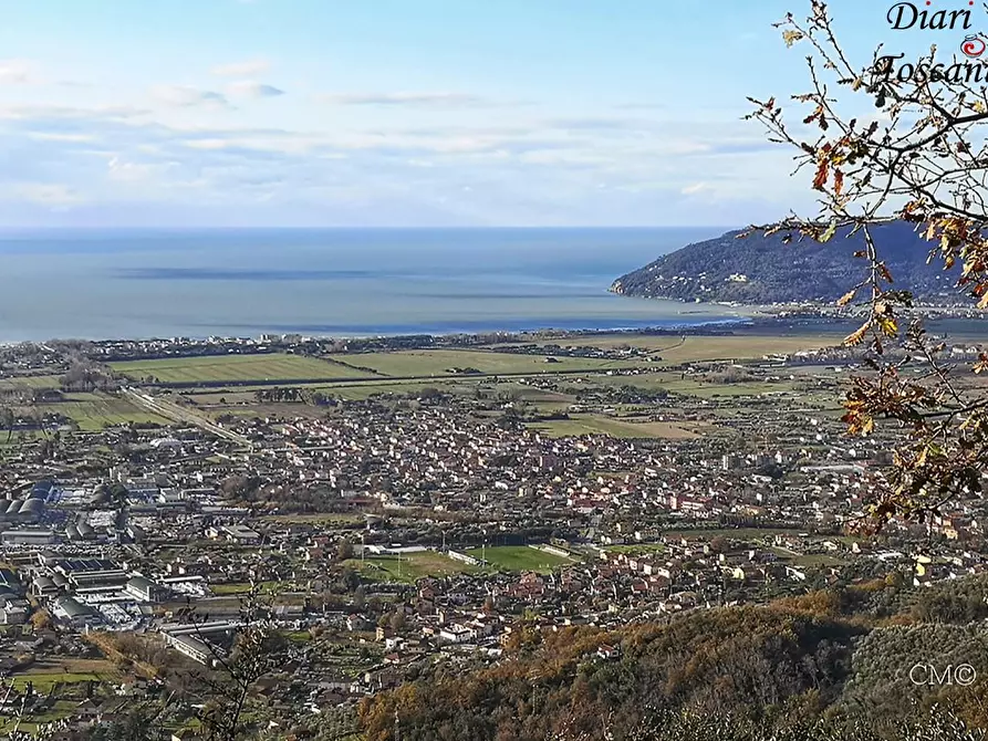 Immagine 26 di Casa indipendente in vendita  a Carrara