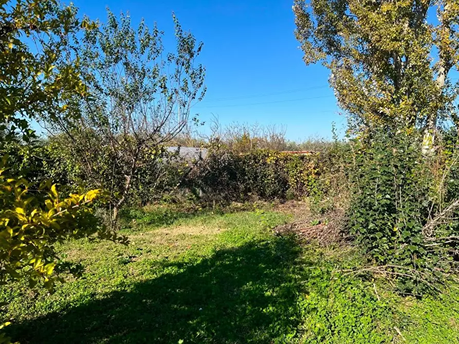 Immagine 6 di Terreno agricolo in vendita  a Pisa