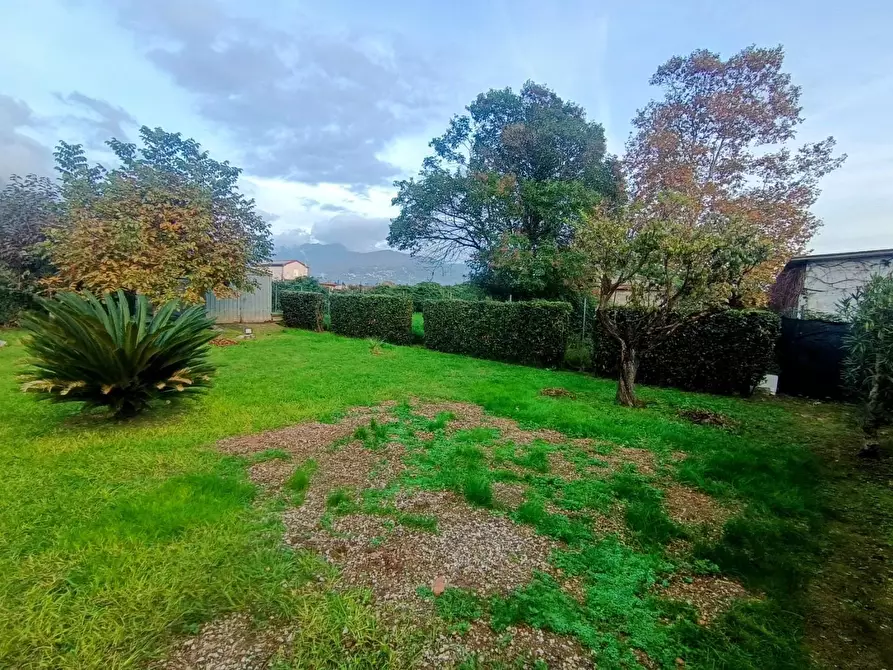 Immagine 29 di Villetta a schiera in vendita  a Massa