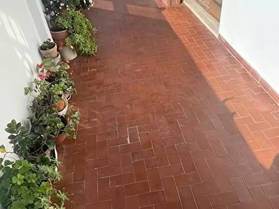 Immagine 10 di Appartamento in vendita  a Massa