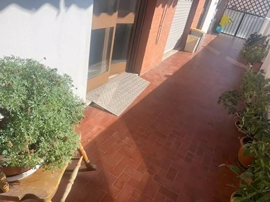 Immagine 8 di Appartamento in vendita  a Massa