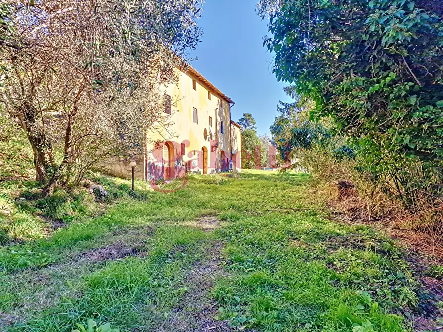 Immagine 1 di Rustico / casale in vendita  a Buti