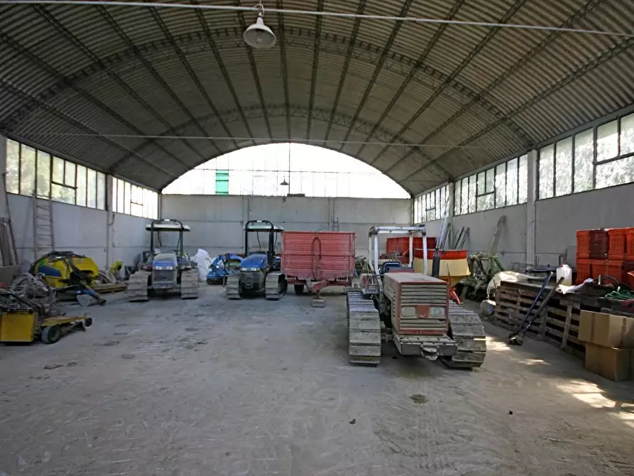 Immagine 17 di Casa colonica in vendita  a Certaldo