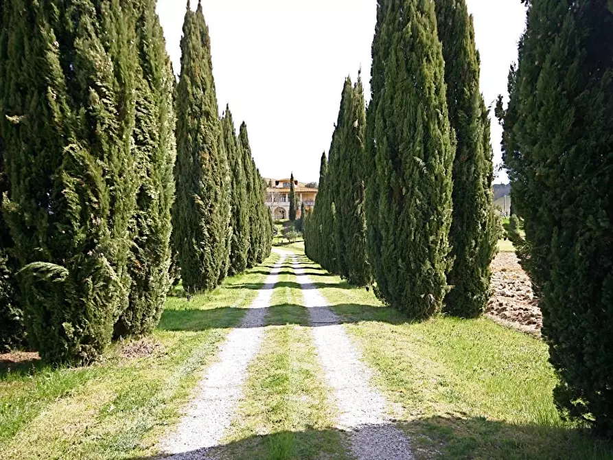 Immagine 18 di Casa colonica in vendita  a Certaldo