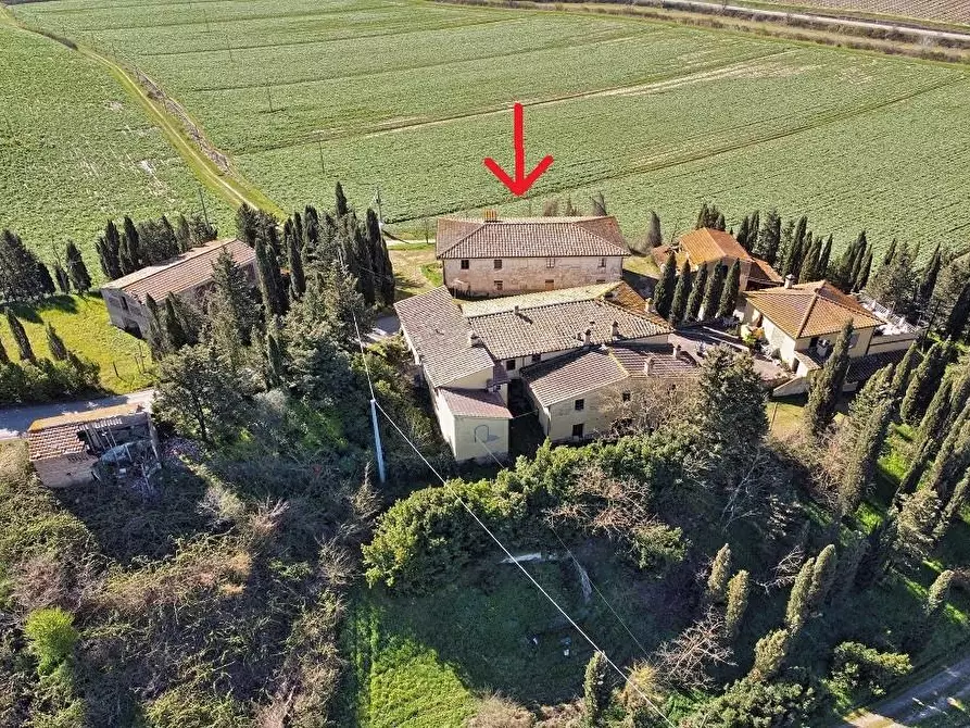 Immagine 3 di Casa colonica in vendita  a Certaldo