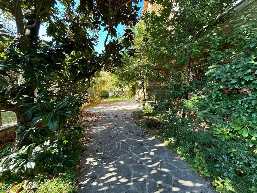 Immagine 4 di Casa bifamiliare in vendita  a Rapolano Terme