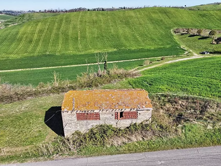 Immagine 4 di Casa colonica in vendita  a Certaldo