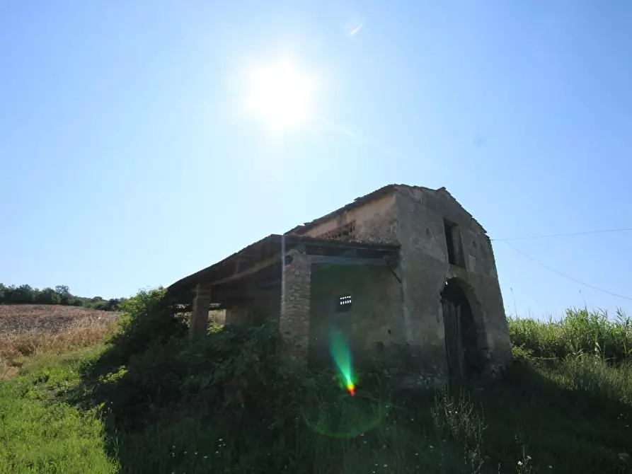 Immagine 15 di Casa colonica in vendita  a Certaldo