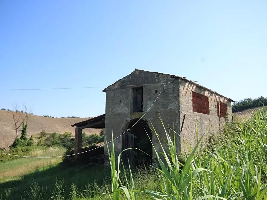 Immagine 12 di Casa colonica in vendita  a Certaldo