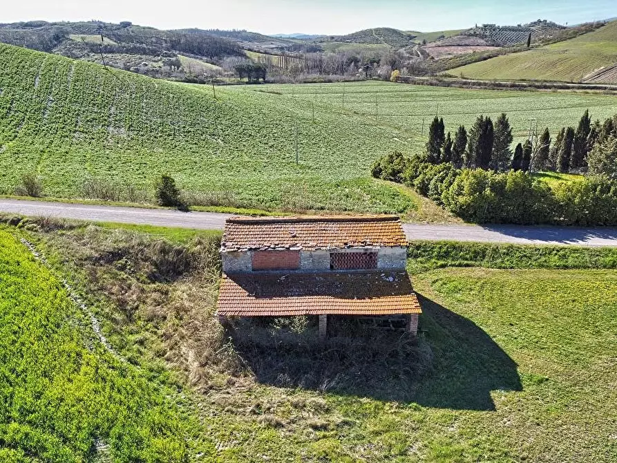 Immagine 5 di Casa colonica in vendita  a Certaldo