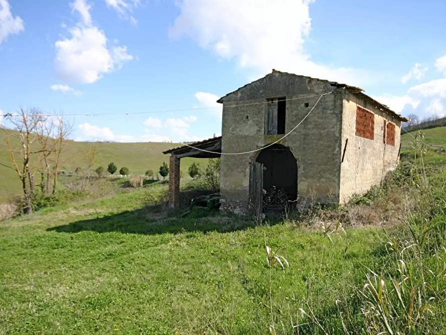 Immagine 17 di Casa colonica in vendita  a Certaldo
