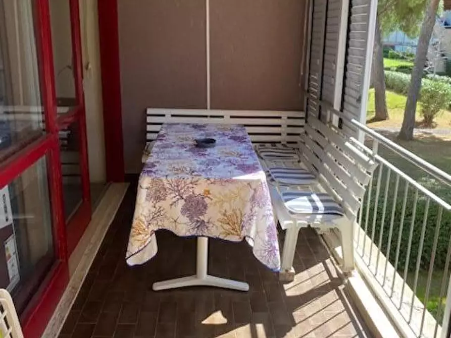 Immagine 14 di Appartamento in vendita  a Bibbona