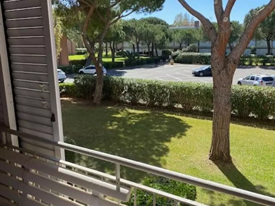 Immagine 15 di Appartamento in vendita  a Bibbona