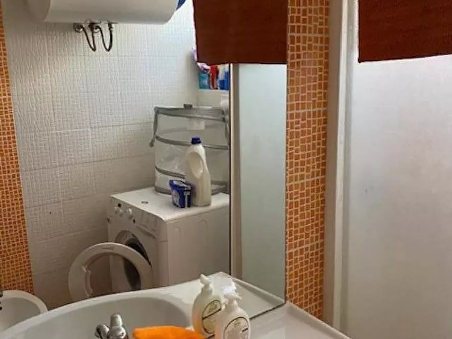 Immagine 10 di Appartamento in vendita  a Bibbona