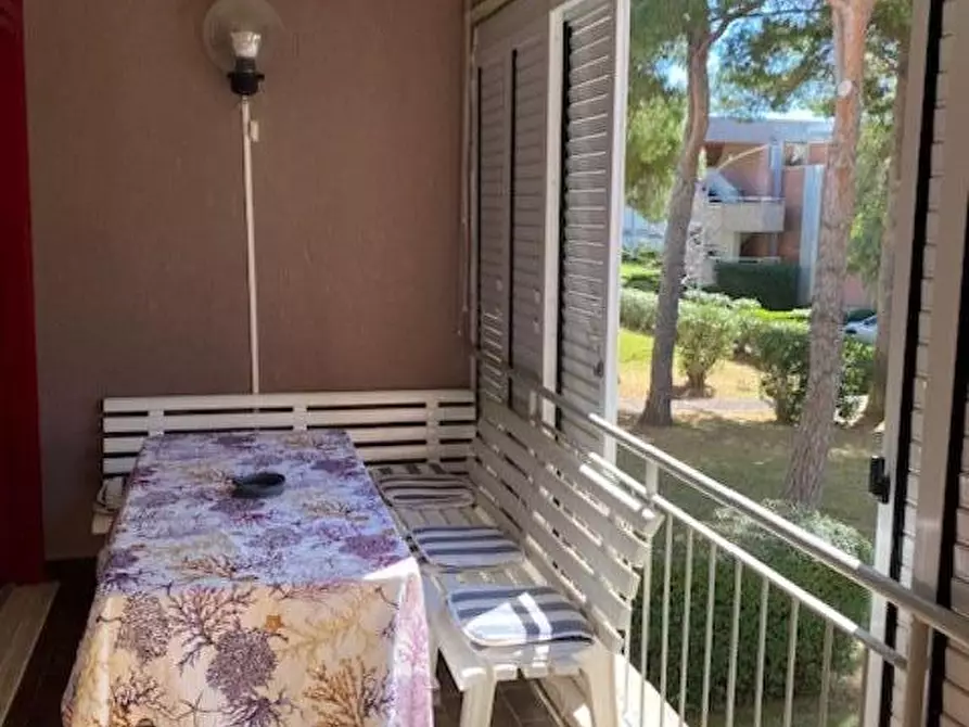 Immagine 16 di Appartamento in vendita  a Bibbona