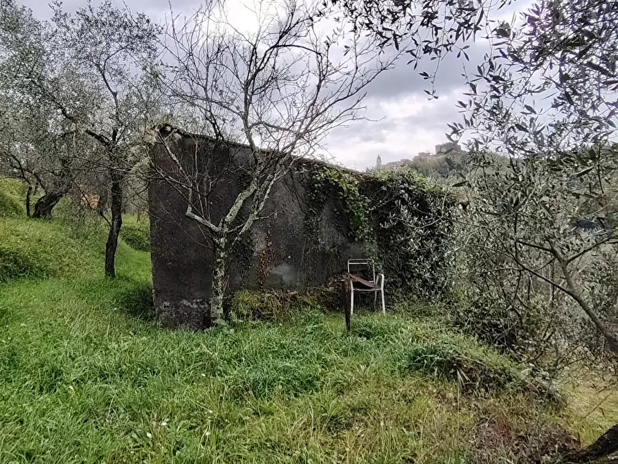 Immagine 3 di Terreno residenziale in vendita  a Arcola