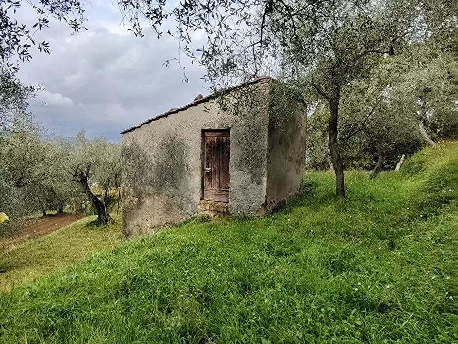 Immagine 2 di Terreno residenziale in vendita  a Arcola