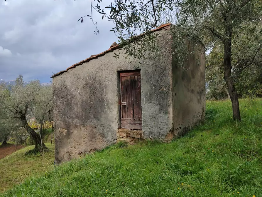 Immagine 1 di Terreno residenziale in vendita  a Arcola