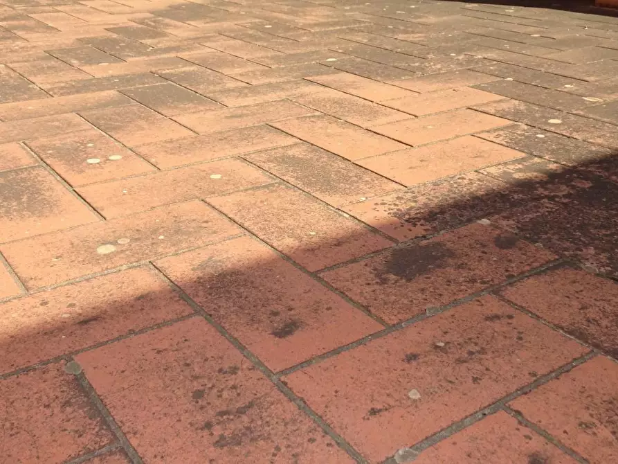 Immagine 24 di Villa in vendita  a Cascina