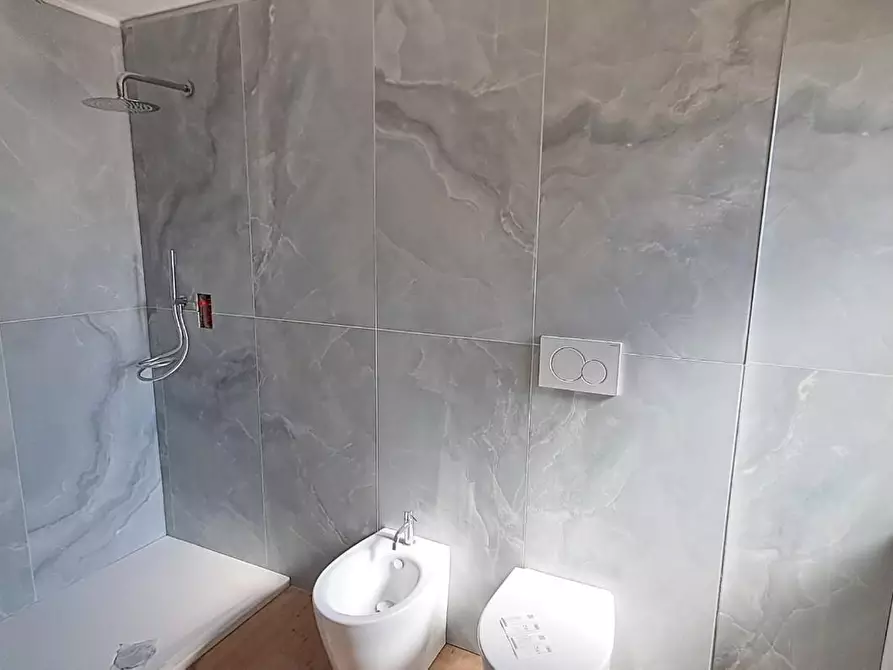 Immagine 18 di Casa colonica in vendita  a Bibbona