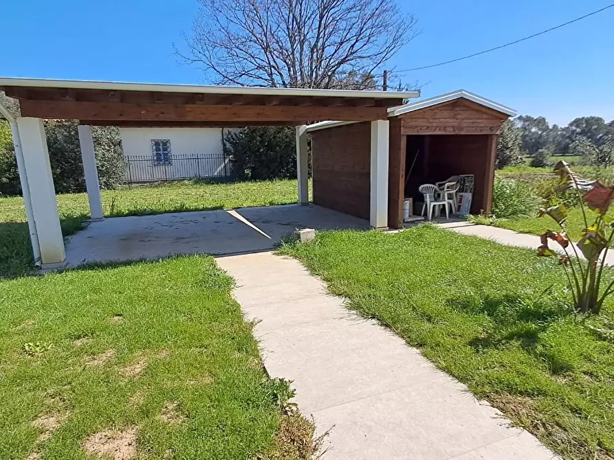 Immagine 27 di Casa colonica in vendita  a Bibbona