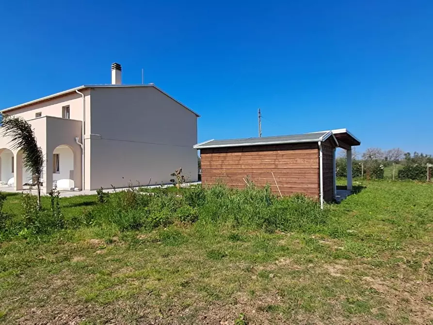 Immagine 25 di Casa colonica in vendita  a Bibbona